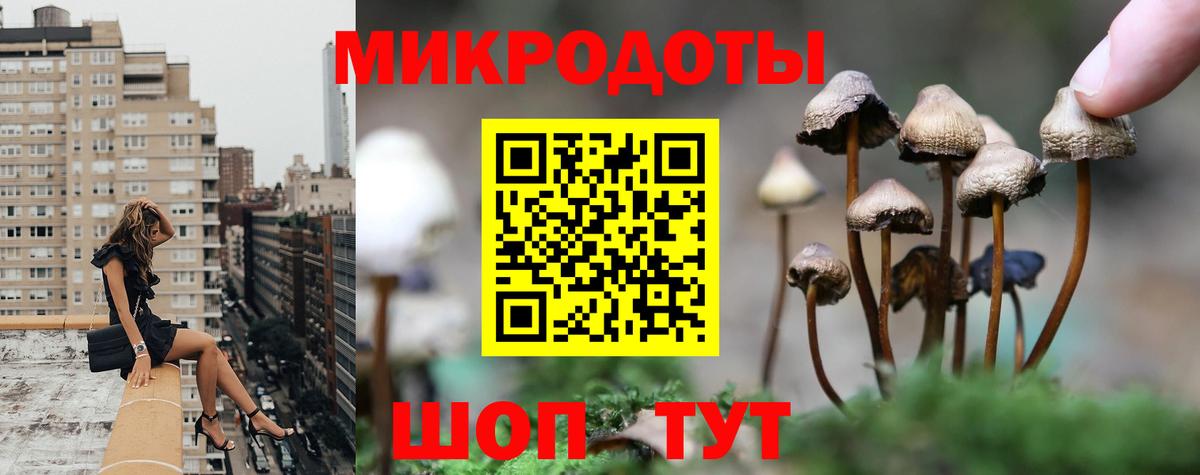 Минусинск  наркота  Вход с VPN  Галлюциногенные грибы ЛСД 